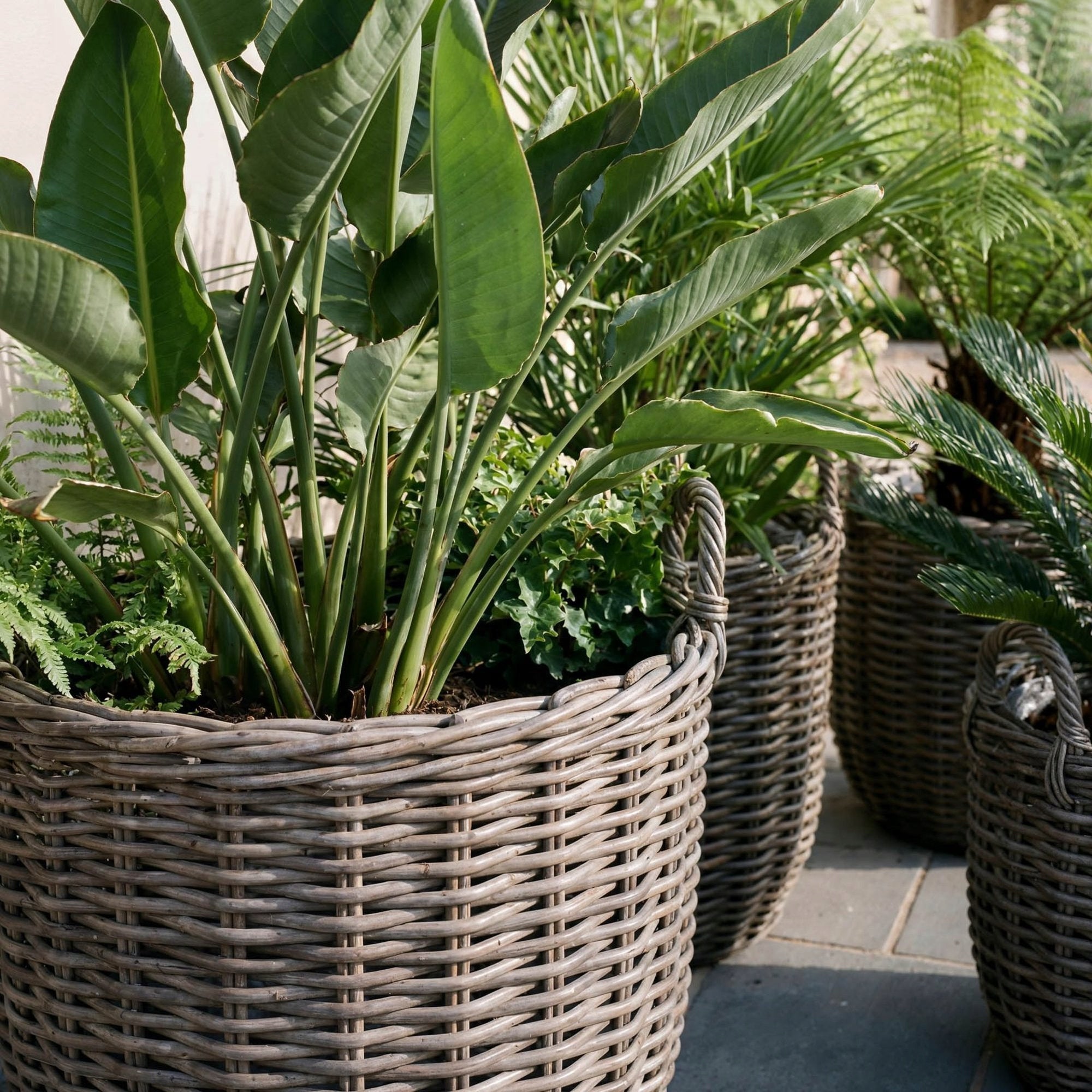 Technorattan Pot Covers Set of 3 Rattan Baskets Boho Terrace Balcony Shape round