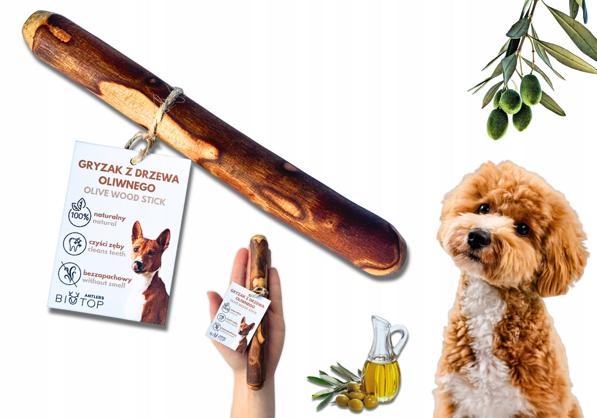 Teether FOR DOG - olive stick S [50-100g] natural from olive tree