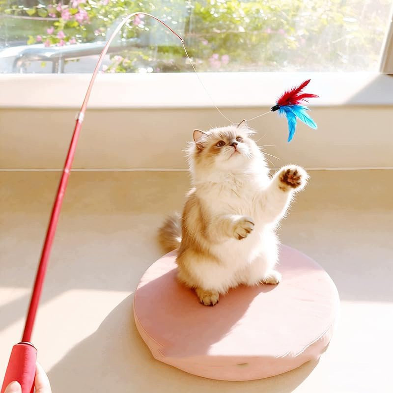 Telescopic Fishing Rod for Cat with 9 Interchangeable Tips Set Brand no brand