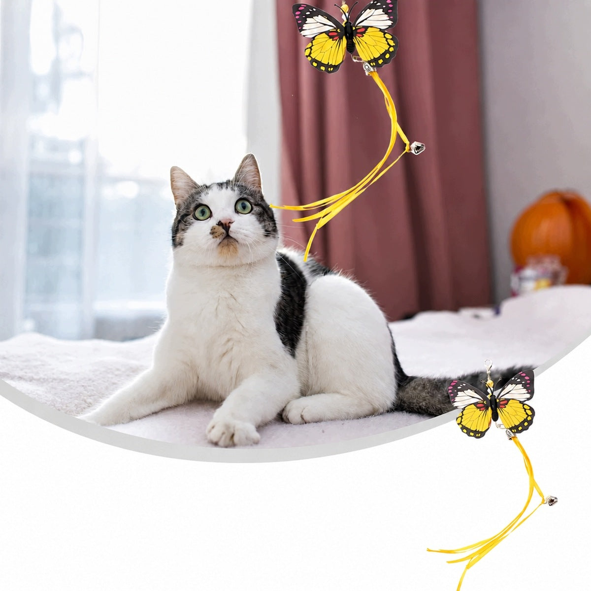 Telescopic Fishing Rod for Cat with 9 Interchangeable Tips Set Manufacturer code 4069347577343