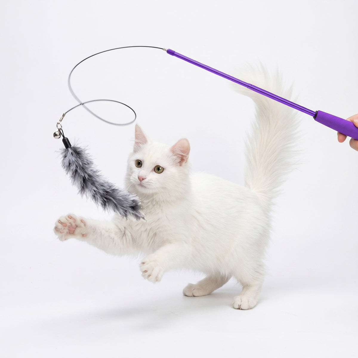 Telescopic Rod for Cat MilooPets 9 Interchangeable Tips 25-85 cm Set Packaging status original