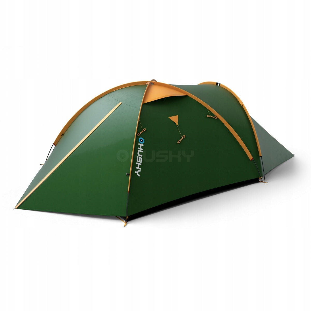 Tent Husky Outdoor BIZON 4 pers. Classic - green Brand Husky
