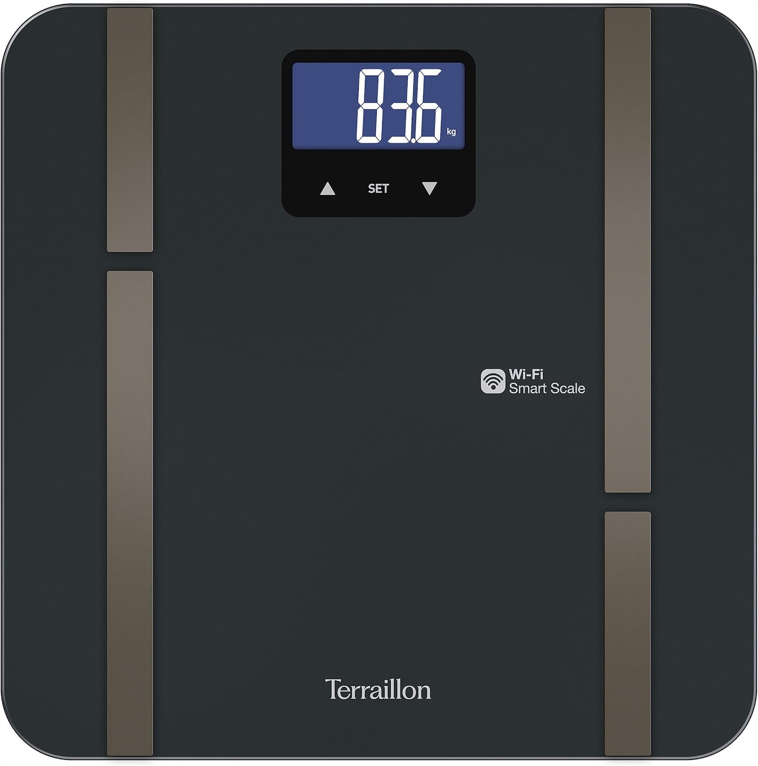 Terraillon Master Fit Ultra Bathroom Scale Brand Terraillon