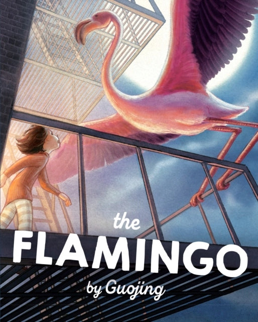 Flamingo 