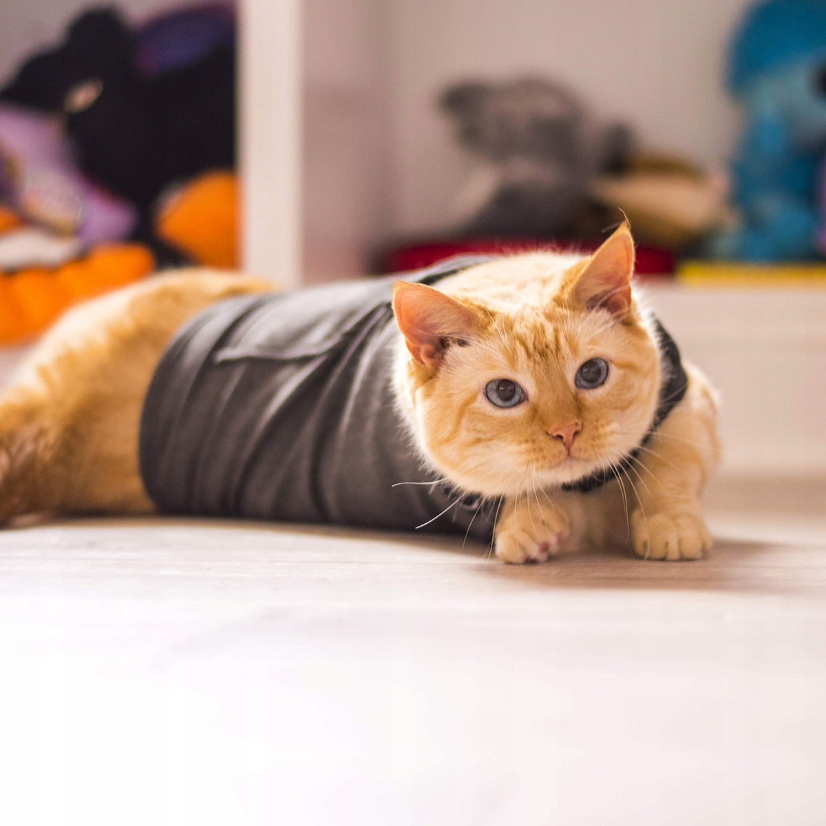 Thundershirt for medium cats grey M T02-HGM Thunderworks Manufacturer code dvsfegd