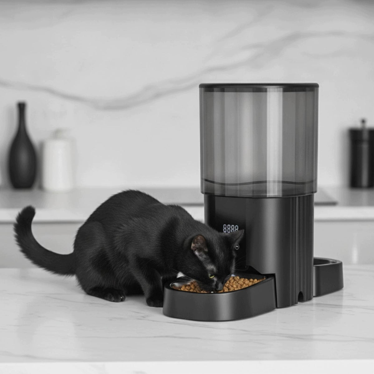 Timed Dry Food Dispenser Large Capacity for Daily Feeding, Black Button Packaging status original