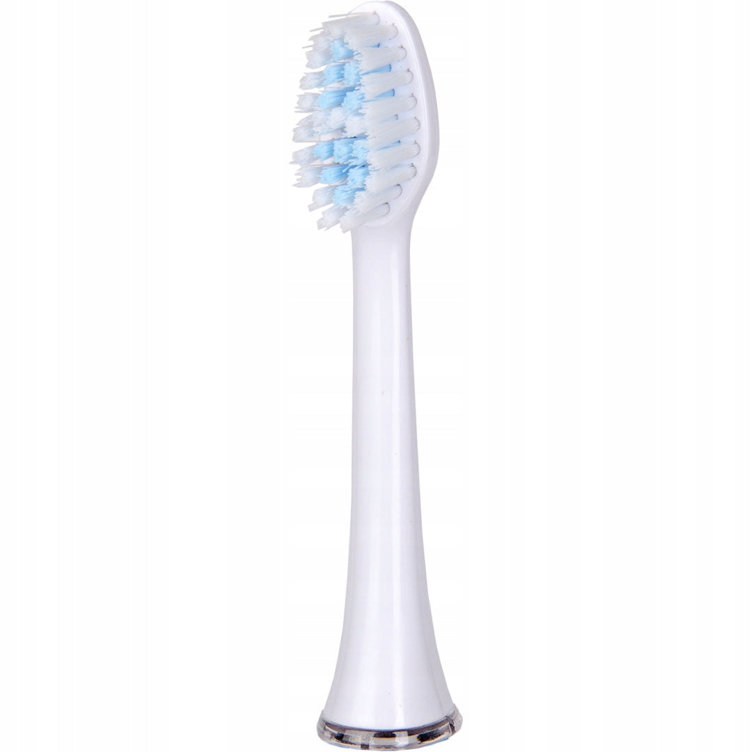 Tips for SEYSSO Carbon Basic White Daily white Manufacturer code Seysso Carbon BL P