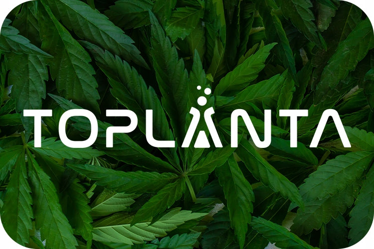 ToPlanta Ingrown multicolored extract for krestin 38%, 60 kaps. Expiration date at least six months from the date of purchase