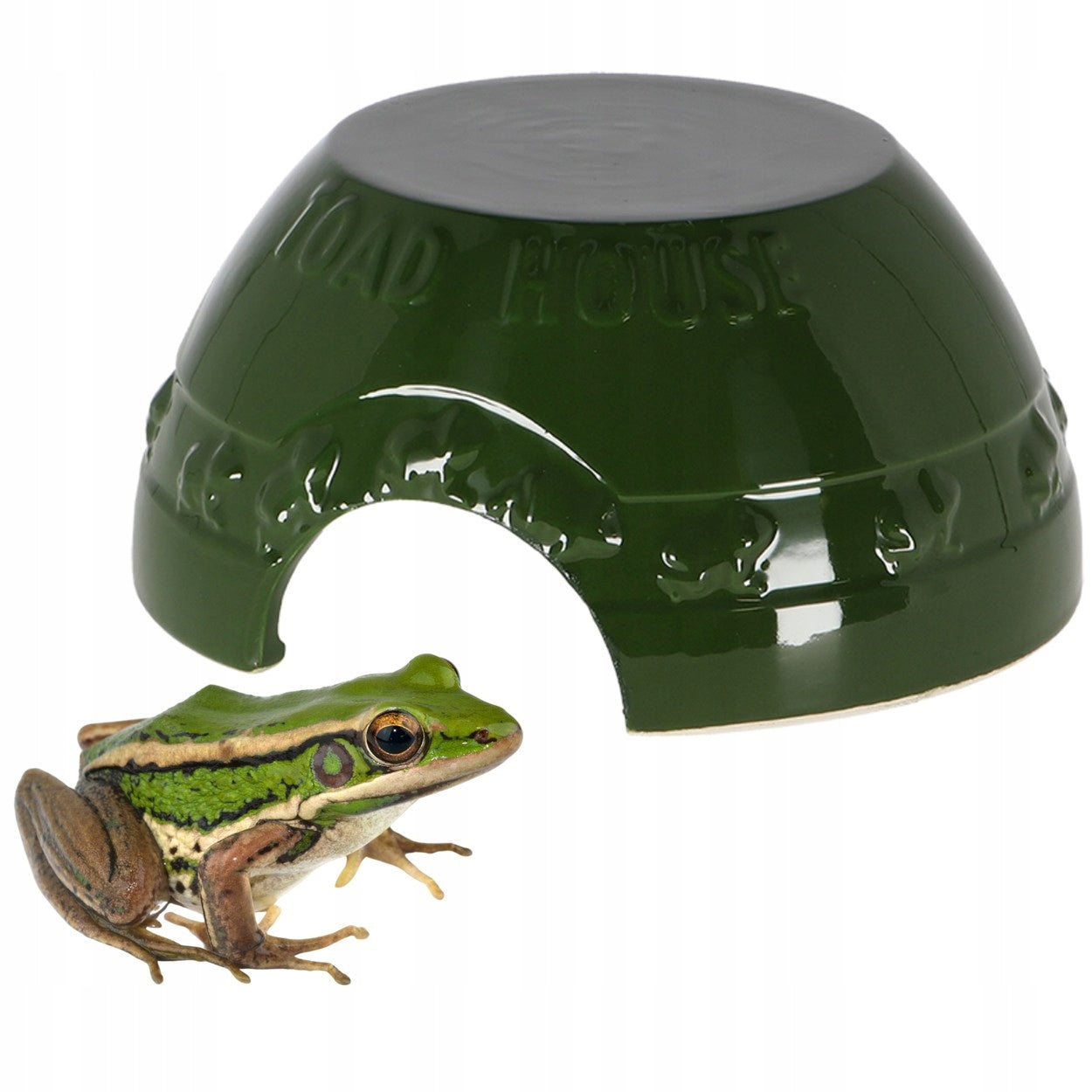 Toad Frog House SHELTER HOUSE Durable Decoration for Garden Esschert
