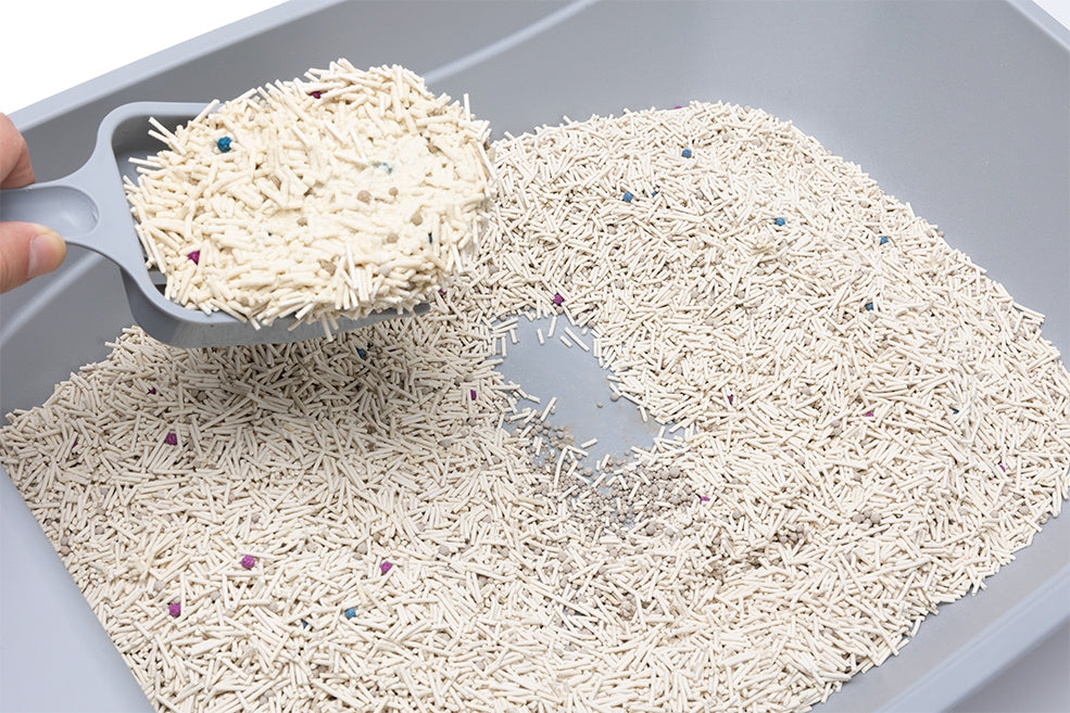 Tofu litter cat litter absorbing clumping odor 2,5kg SNAPPY Volume 6 l