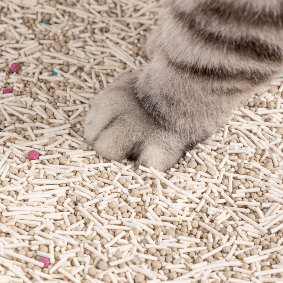 Tofu litter cat litter absorbing clumping odor 7.5kg SNAPPY Manufacturer code SNCL0003x3