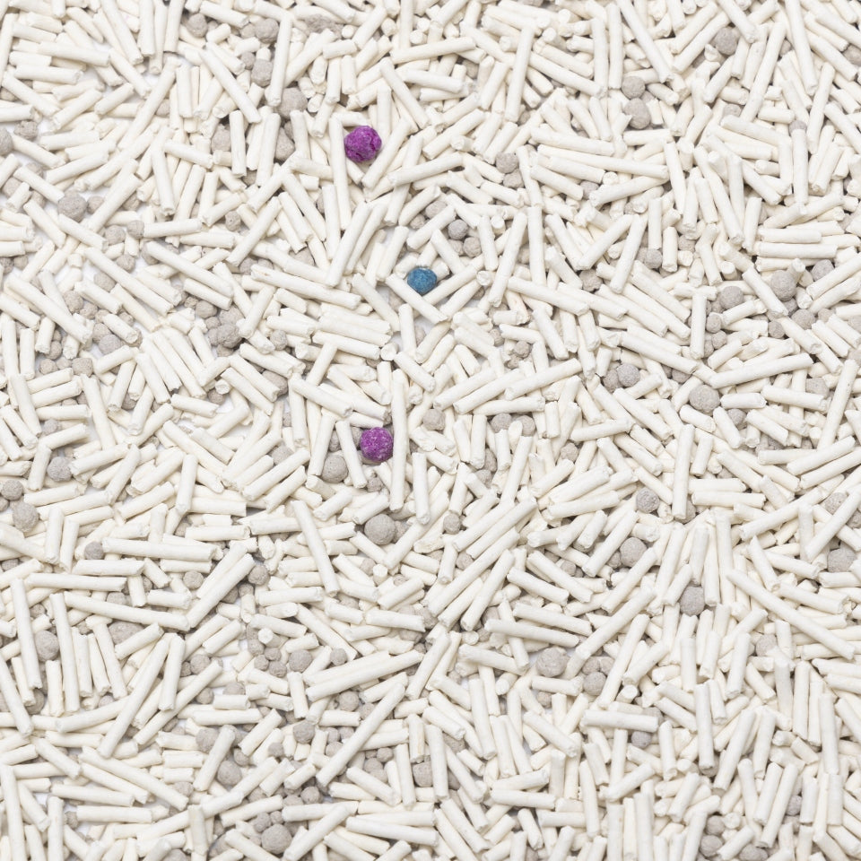 Tofu litter cat litter absorbing clumping odor 7.5kg SNAPPY Packaging status original