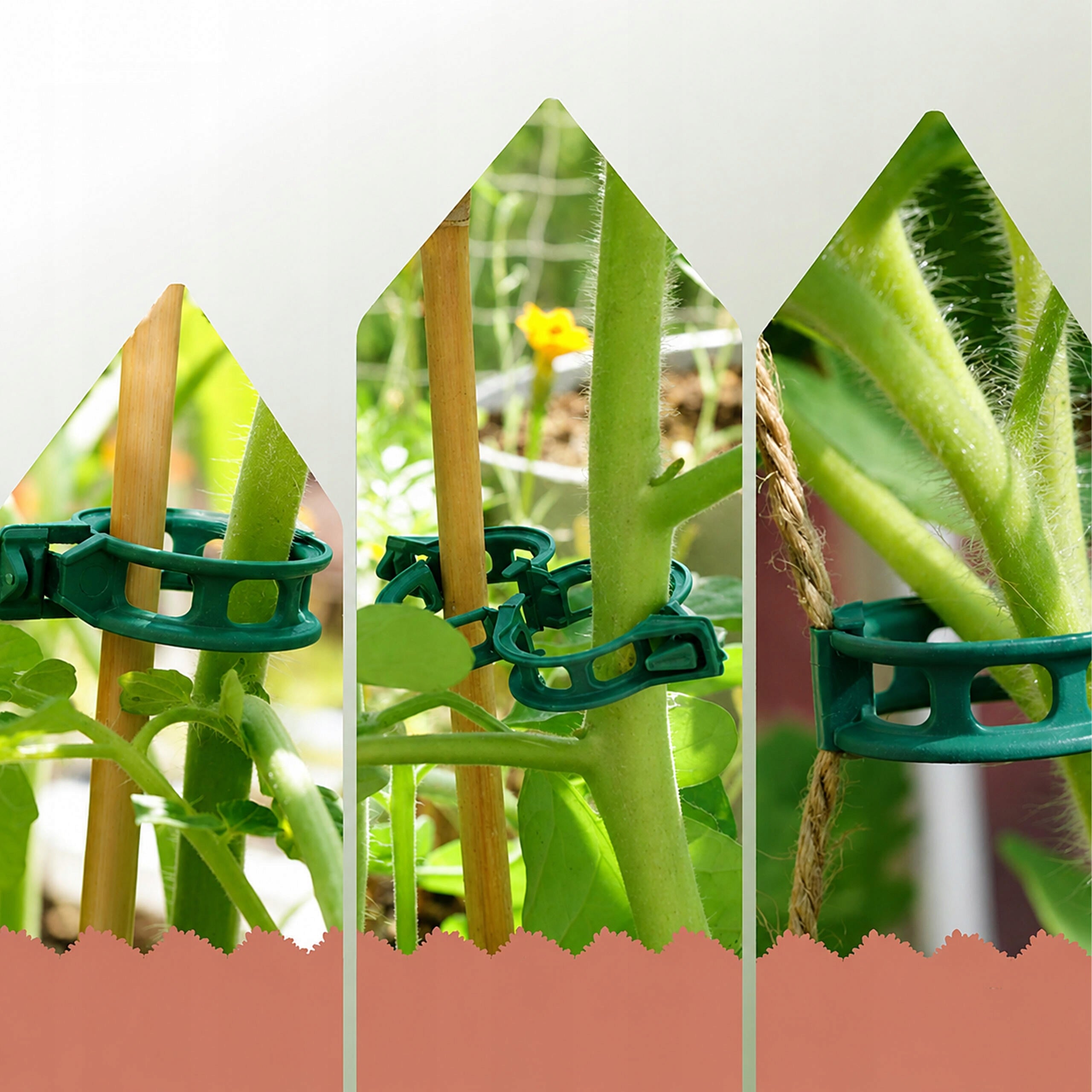 Tomato Clips Vegetable Plant Green 50 Pcs Handles Stem Clasp Manufacturer code RC-K-2437
