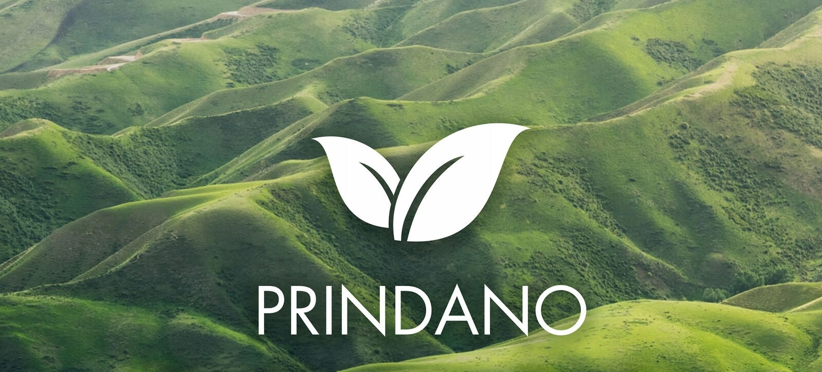 Toner for Brother HLL3210CW HLL3230CDW HLL3270CDW HL-L3210CW L3270CDW TN247 Manufacturer Prindano