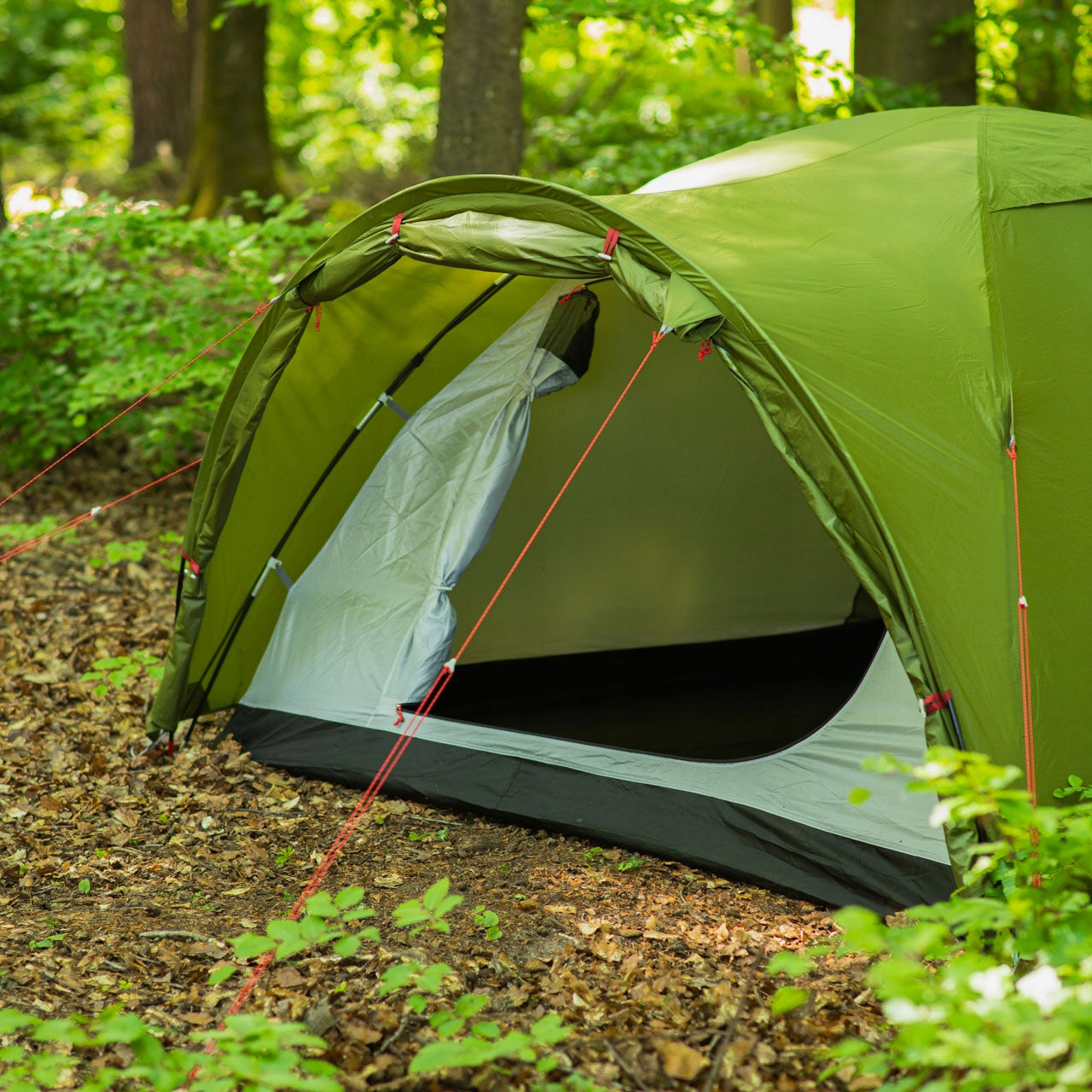 Tourist tent Alpinus Reus 4 green Number of people 4