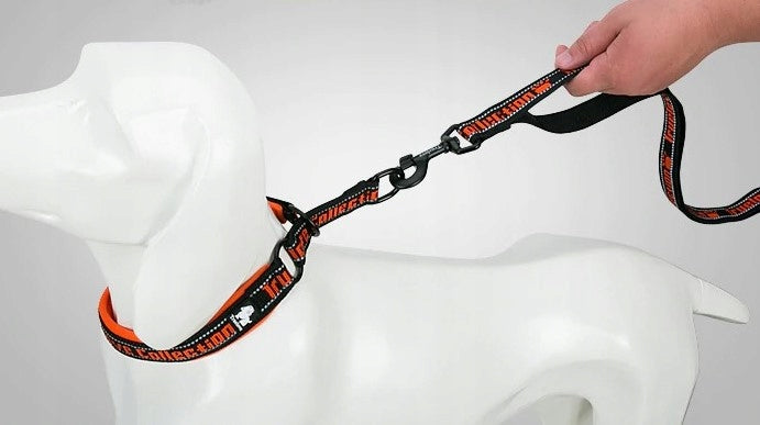 Traditional leash Truelove material 1,4 m 140 CM STRONG size L Manufacturer code TLL3071 czer L