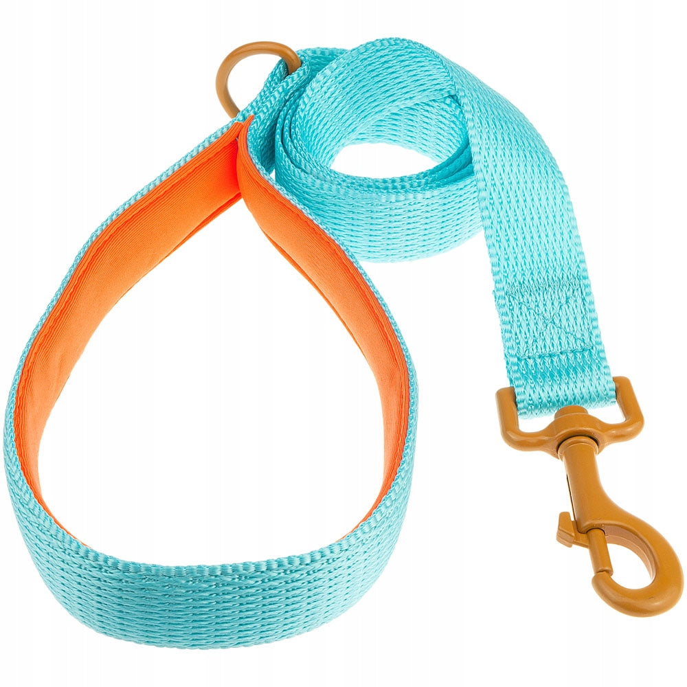 Traditional leash small medium for dog S 1,5 cm
