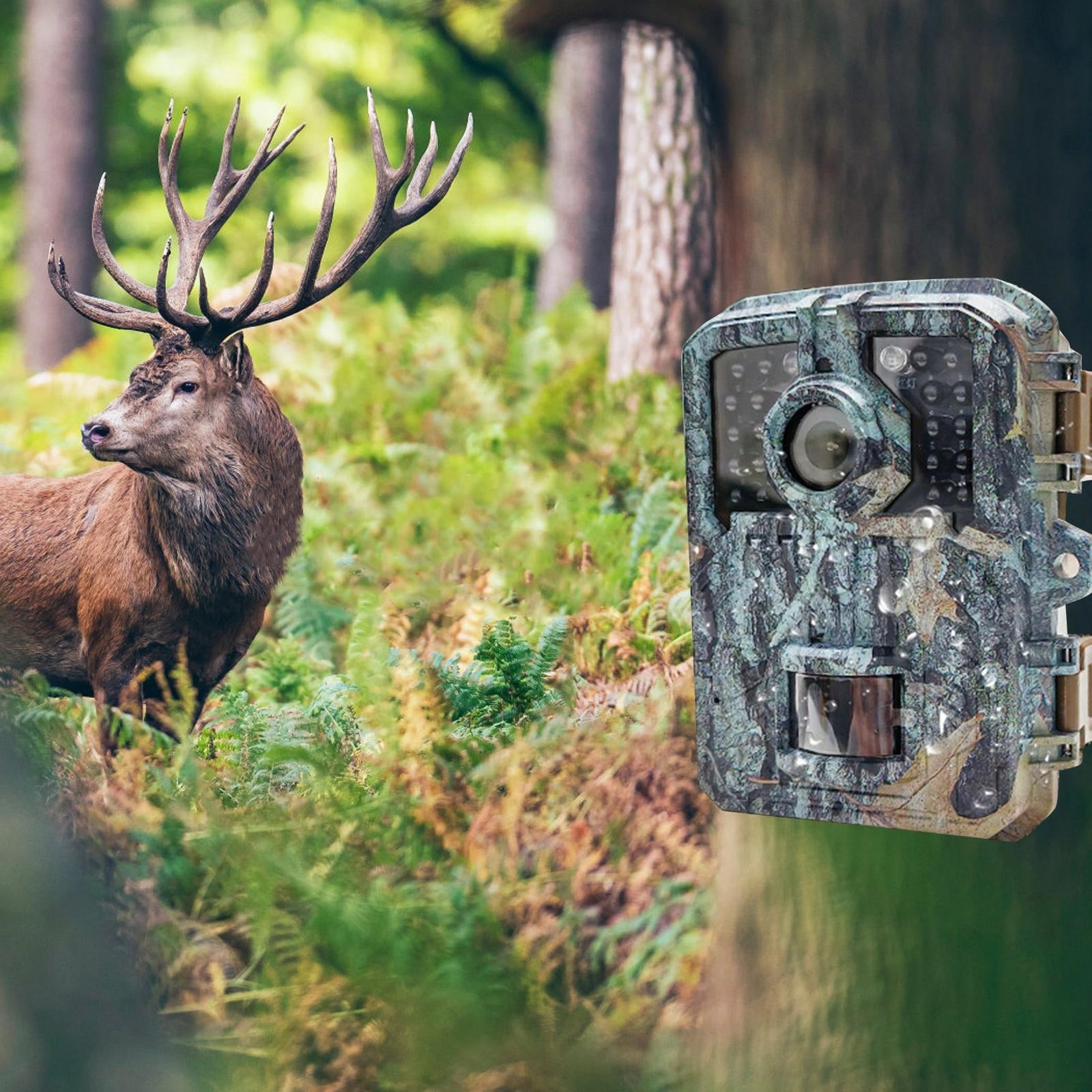 Trail Camera Practical 1080P HD Trail cam for Video Scouting Home Security