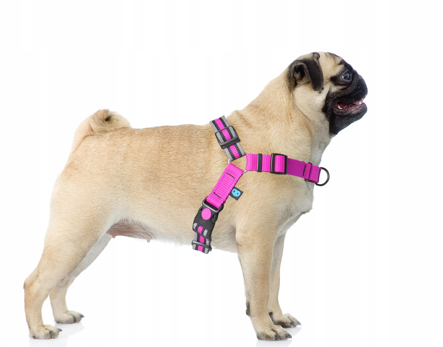 Training Harness for Easy Walk Dog Pulling, REFLECTORS M Brand Dogcessories