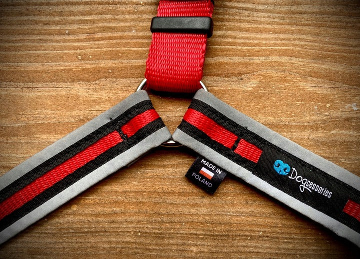 Training Harness for Pulling Dogs, REFLECTORS M Kind training / easy walk