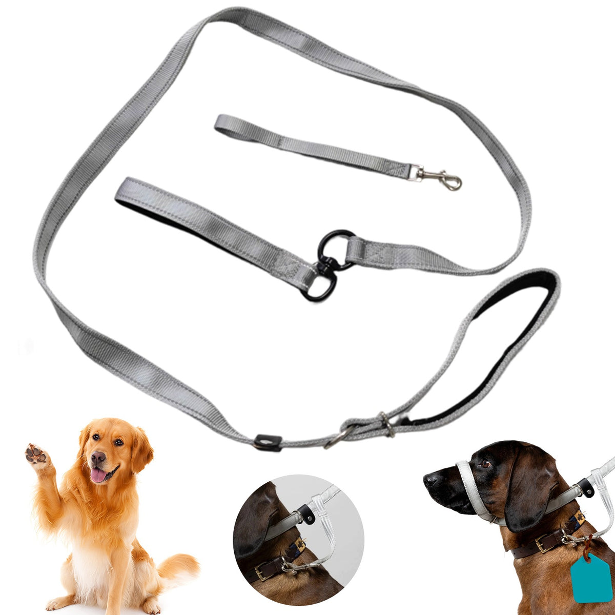 Training Lanyard 180cm 8 With Anti-slip For Puppies And Adult Dogs