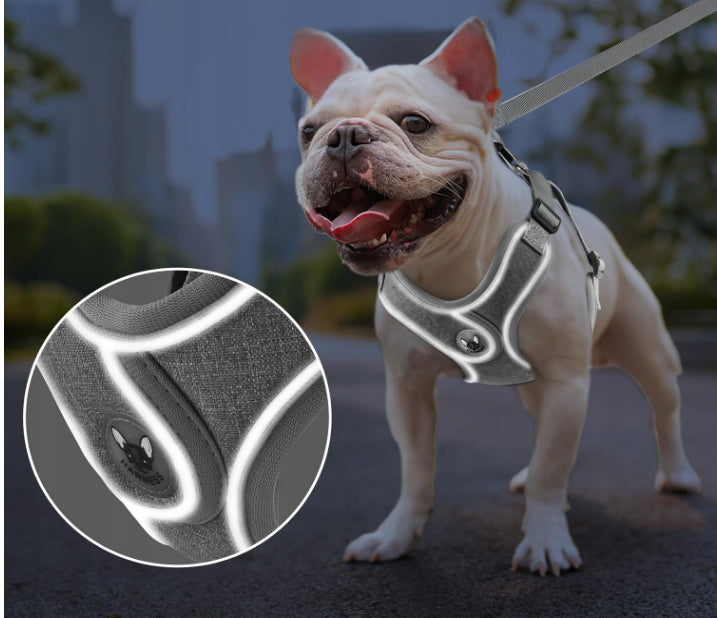 Training harness Lalazoo Elite black M pressure-free waterproof reflective Manufacturer code 5903857443448