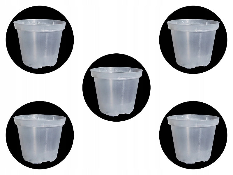 Transparent colorless pot for orchid 8cm 5pcs