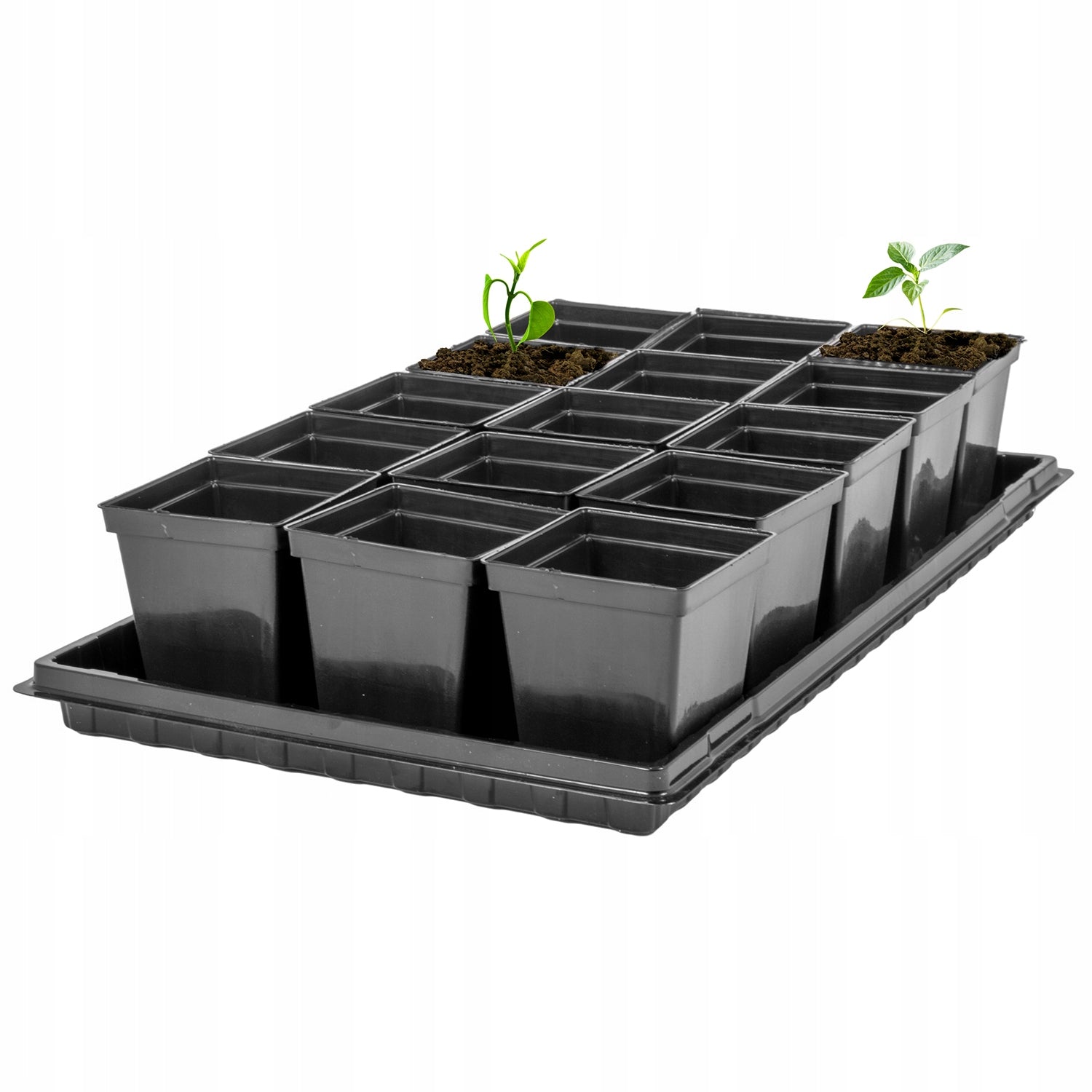 Transport Tray 52x31 cm for sowing seedlings high Cuvette H 5 cm Manufacturer code GP13136