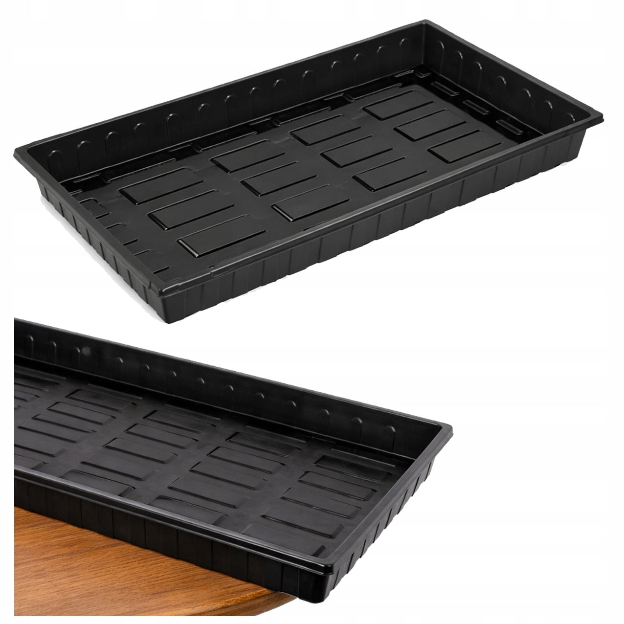 Transport Tray 52x31 cm for sowing seedlings high Cuvette H 5 cm
