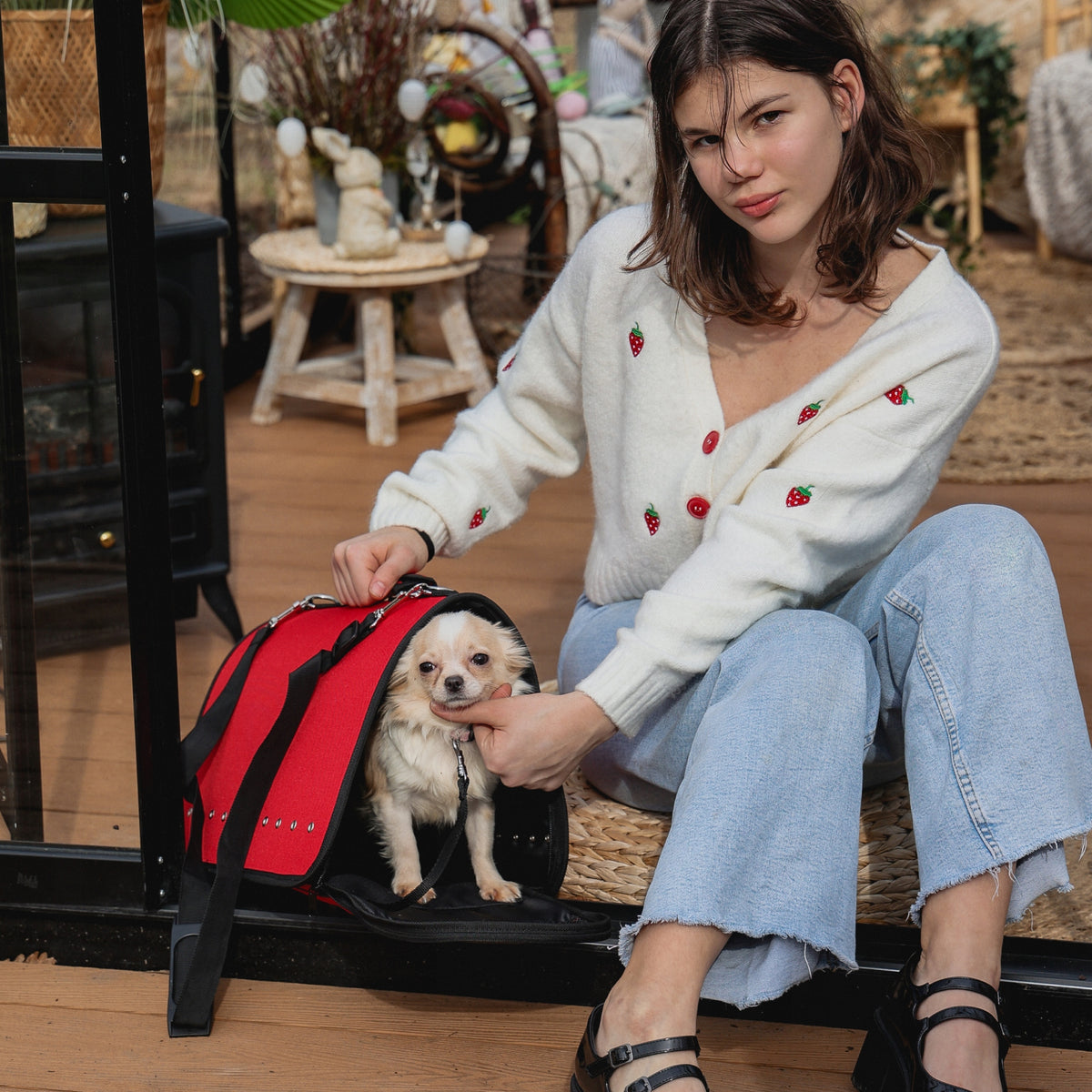 Transport bag for small dog / cat DINGO "TO GO" Power RED S Manufacturer code 18628