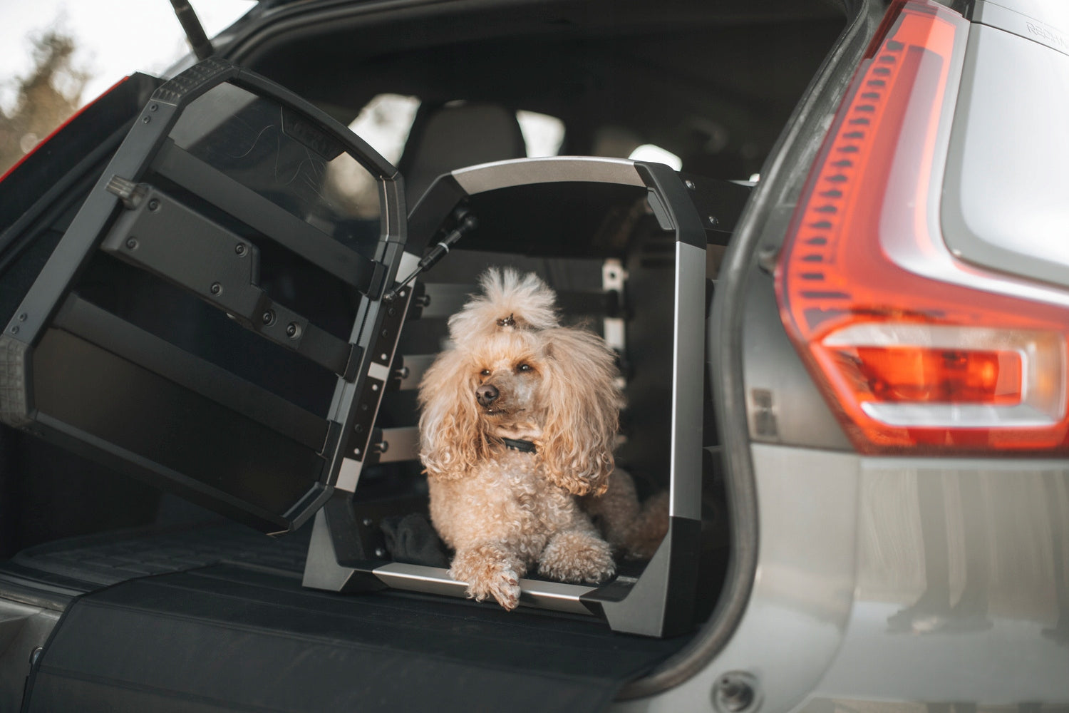 Transport cage for dog Thule Allax S Trade name Thule Allax