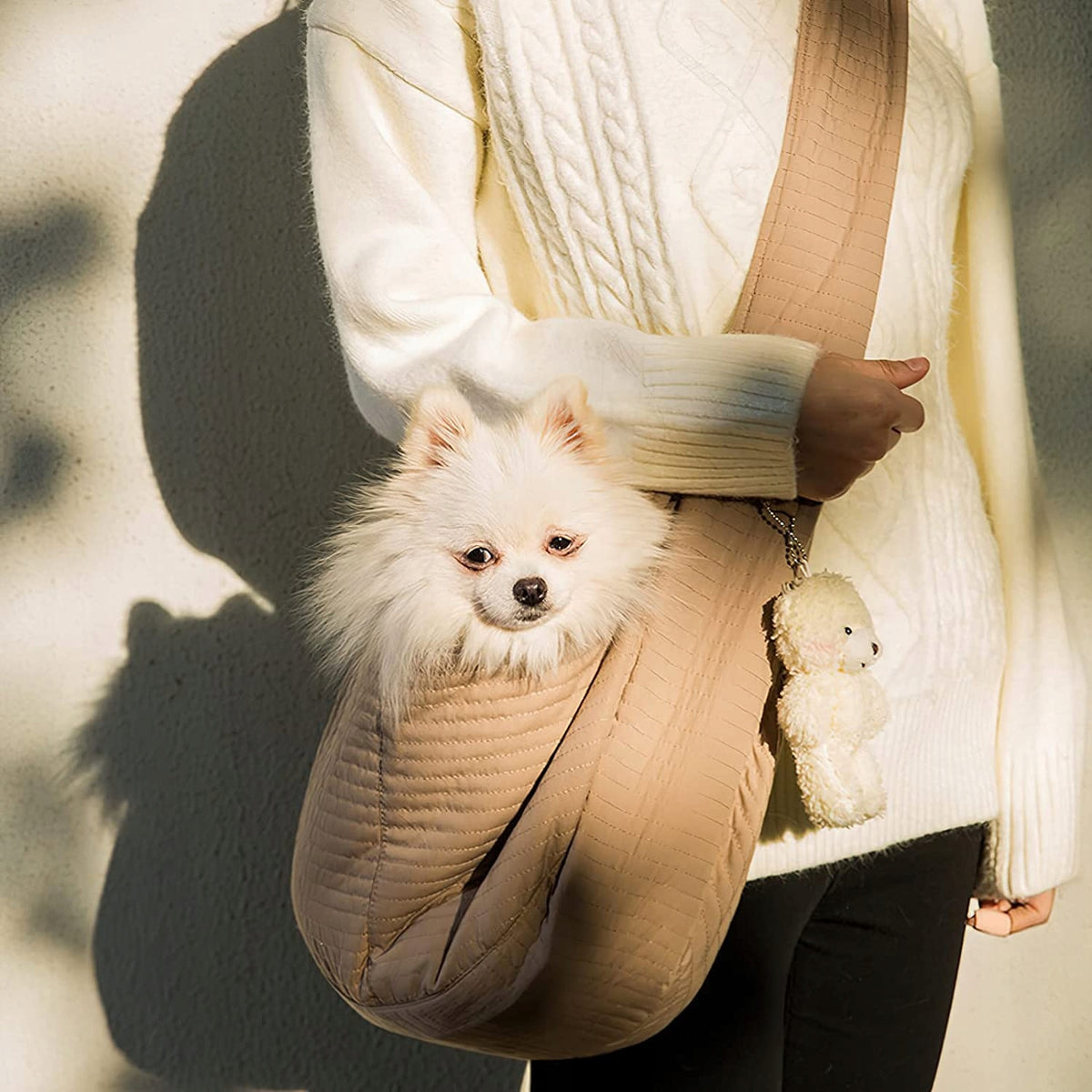 Transport cat puppy bag safe for