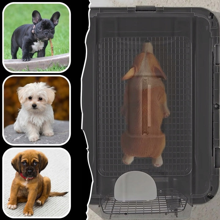 Transporter For Cat Dog Rabbit Animal Cage Playpen For Car Large Trade name plastikowy przenośny składany