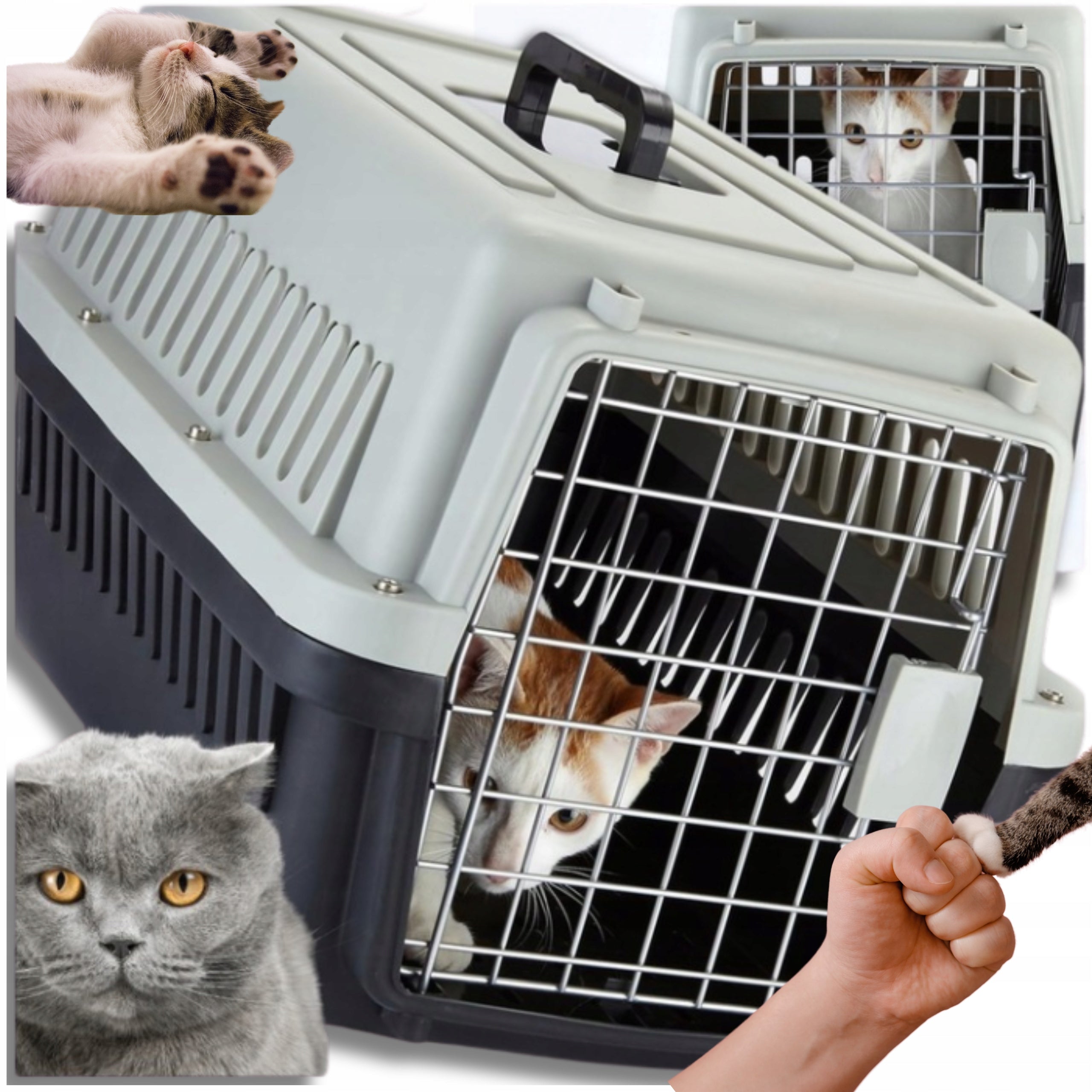Transporter For Cat Dog Rabbit Animal Cage Playpen For Car Large