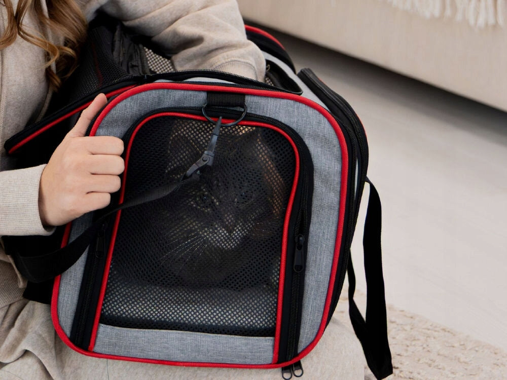 Transporter PETIGIO Peti-to-Travel PETI 752-GR Color gray
