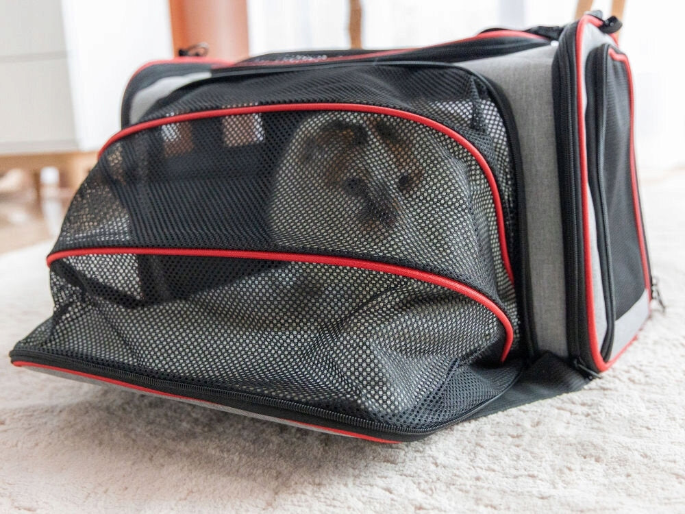 Transporter PETIGIO Peti-to-Travel PETI 752-GR Material other