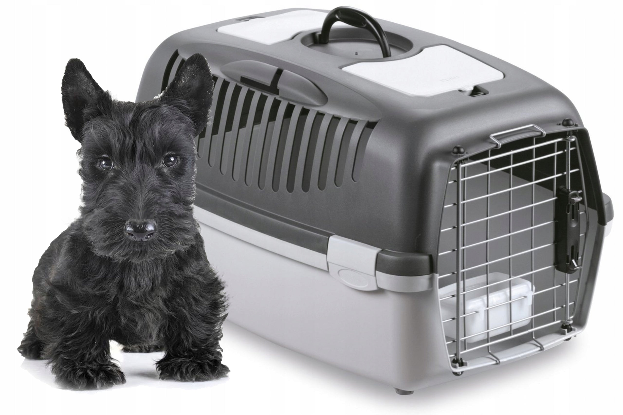 Transporter for cat dog ZOLUX GULLIVER 3 DELUX 40x38cm Brand Zolux