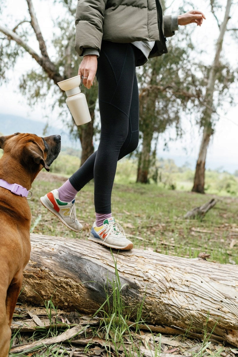 Travel bottle for dogs Springland beige 0,59 l Material made from a synthetic material