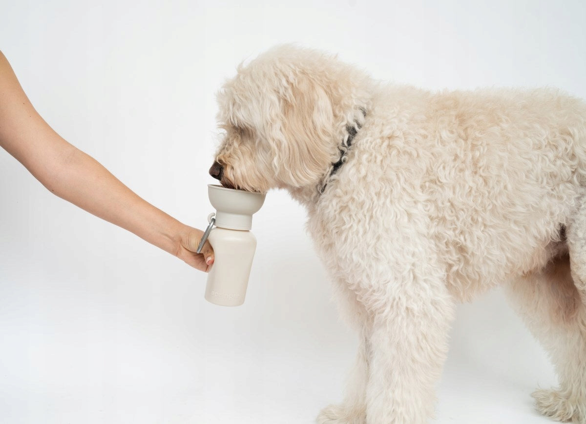 Travel bottle for dogs Springland beige 0,59 l Trade name Springland 20oz Flip Dog Travel Water Bottle