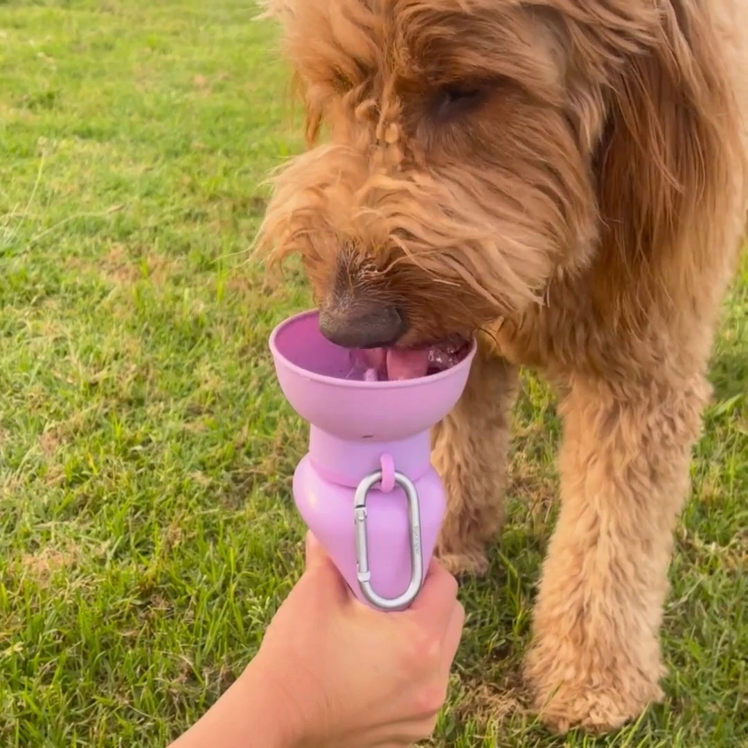 Travel bottle for dogs Springland purple 0,59 l Packaging status original