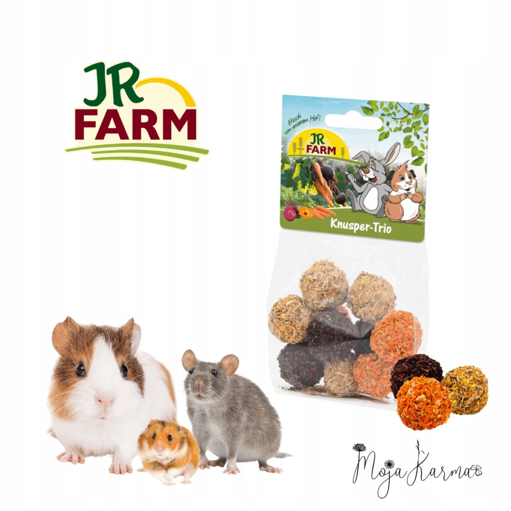 Treat For Rodents Crispy Trio JR Farm 75g