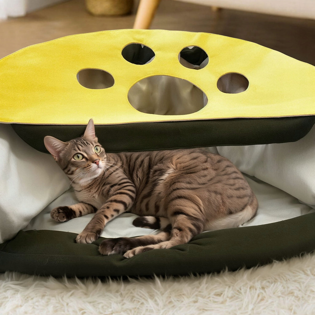 Triangle Cat Tunnel Felt House Hideout Toy Packaging status original