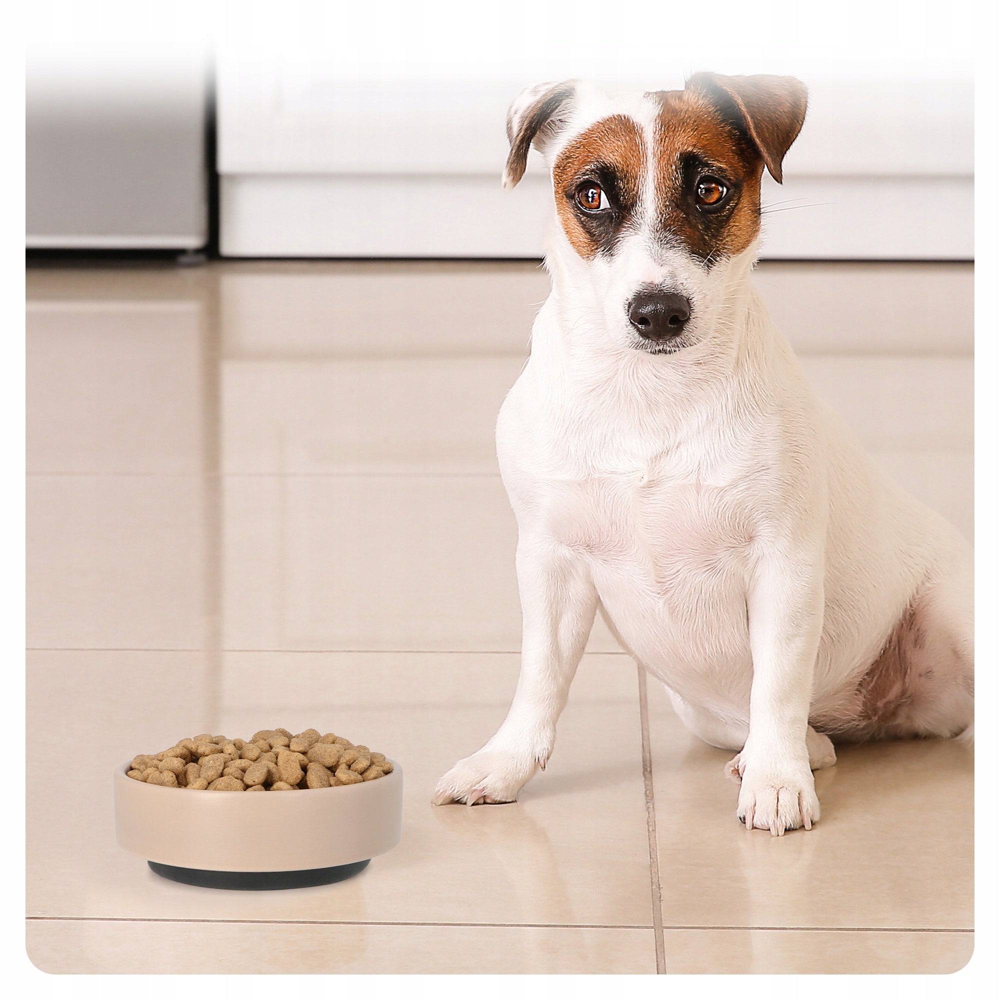 Trixie BE NORDIC dog bowl taupe ceramic/rubber 0,5l/o 16cm Material ceramic