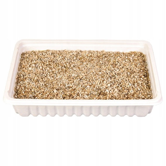 Trixie Cat Grass in Vitamin Container 100 g Manufacturer code 4011905042350
