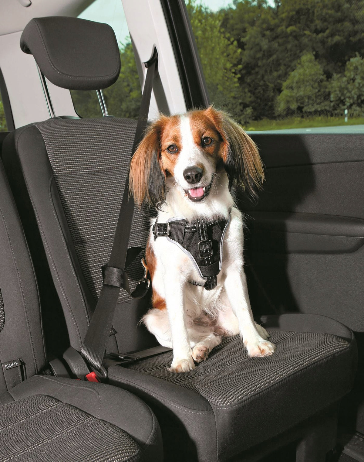 Trixie Dog Comfort S-M Harness Dog size medium dog