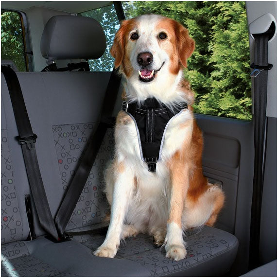 Trixie Dog Harness Comfort L Golden Retriever