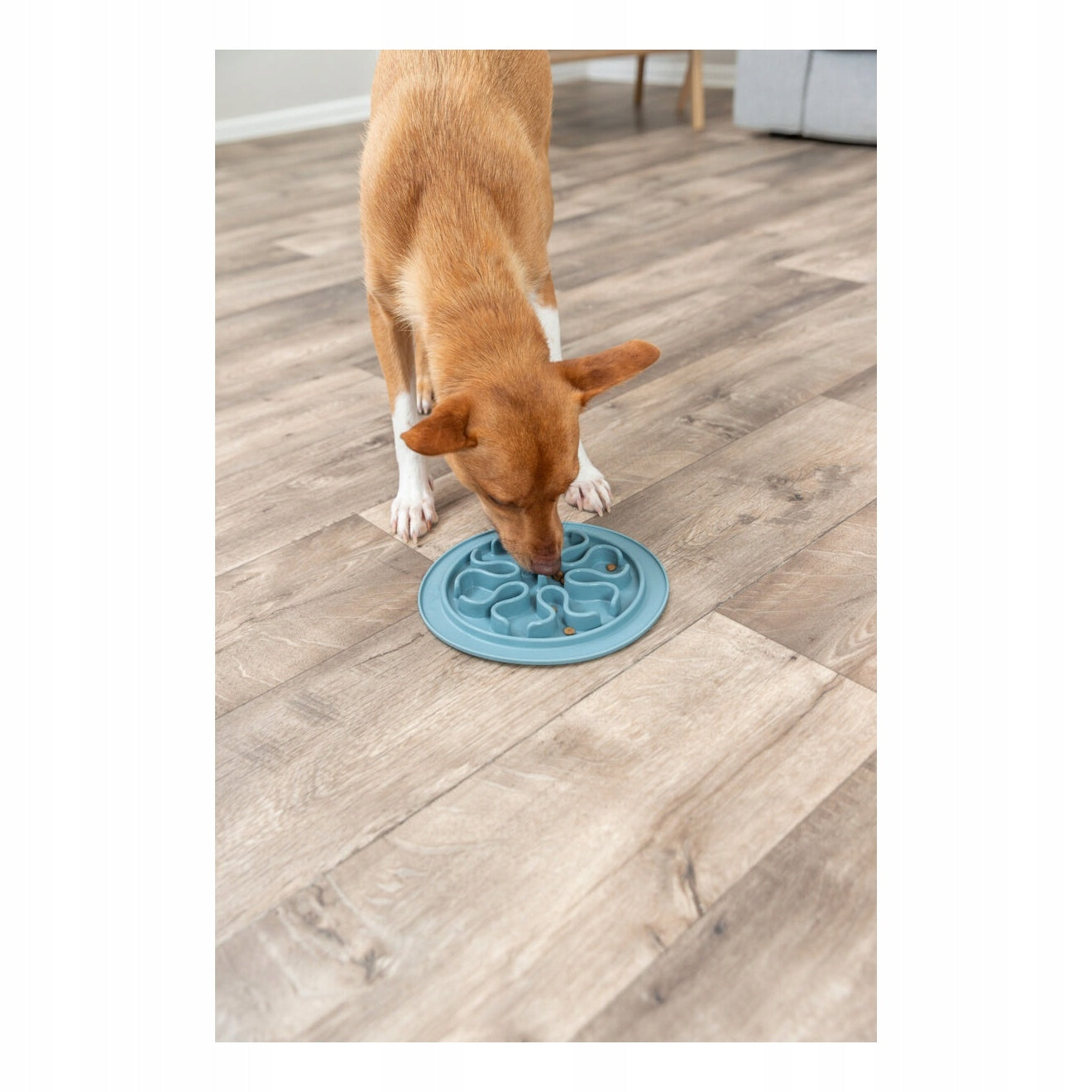 Trixie Feeding mat Slow Feed silicone 24cm Additional color green