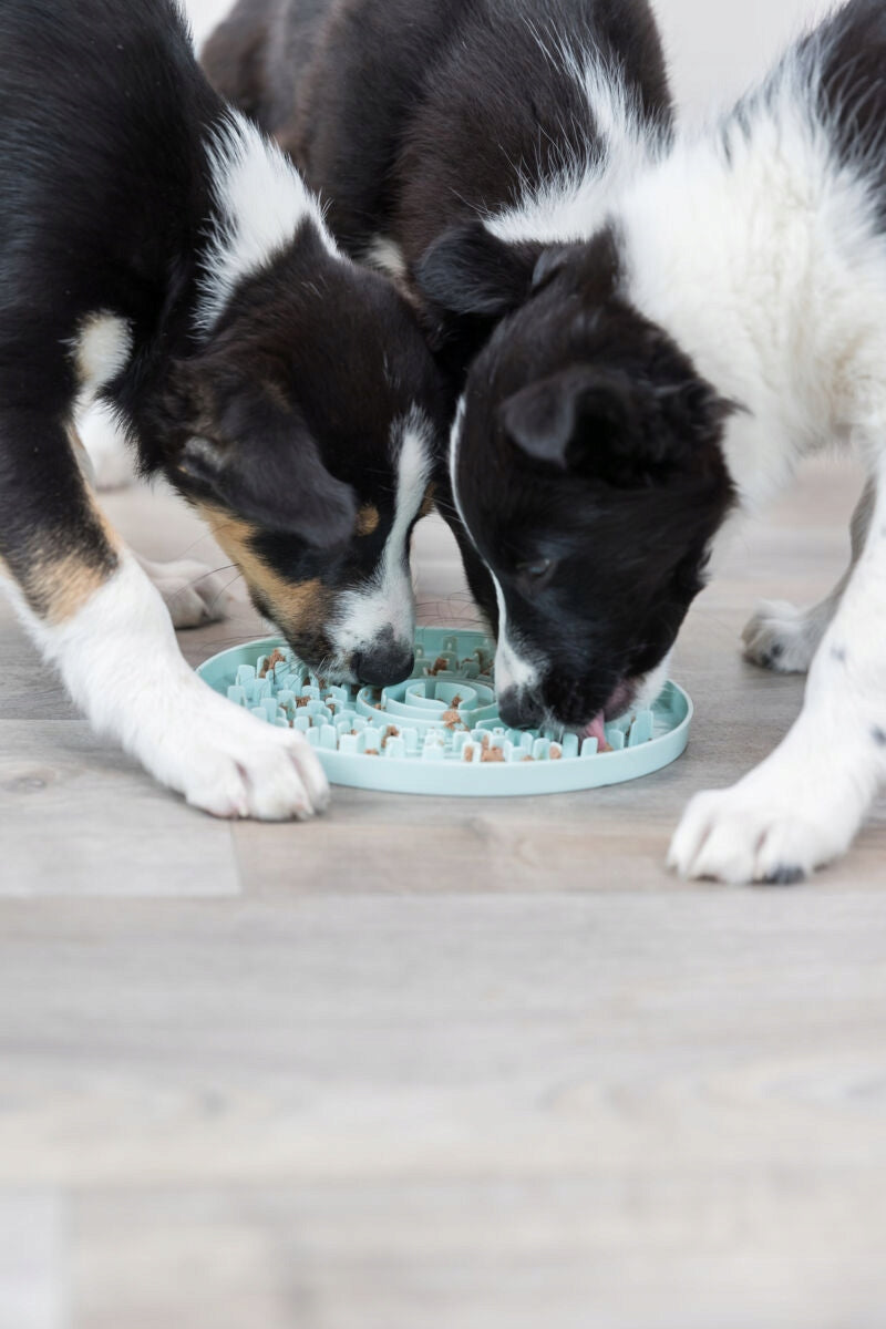 Trixie Junior licking plate treat tray for dogs 21cm Trade name Taca do lizania 21 cm miętowa
