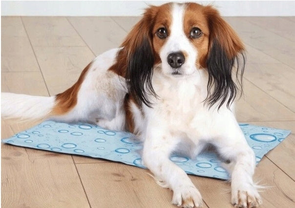 Trixie Kühlmatte für Hunde, L, blau 