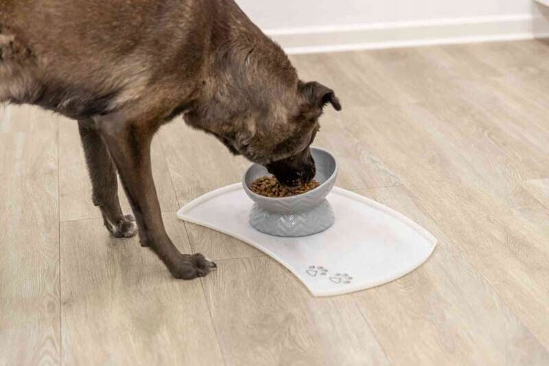 Trixie Raised bowl for dog ceramic grey 0.35l/17cm Capacity 0.35 l